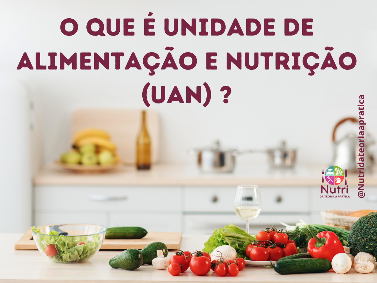 O QUE É UNIDADE DE ALIMENTAÇÃO E NUTRIÇÃO (UAN)