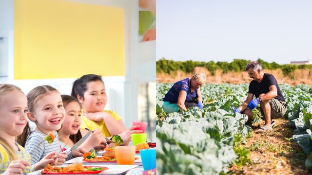Potencialidades do Programa Nacional de Alimentação Escolar